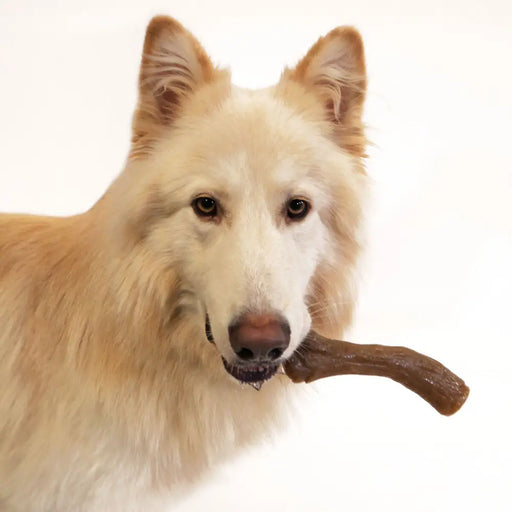 Гризалка за кучета Nylabone Кафяв Фъстъчено масло XL