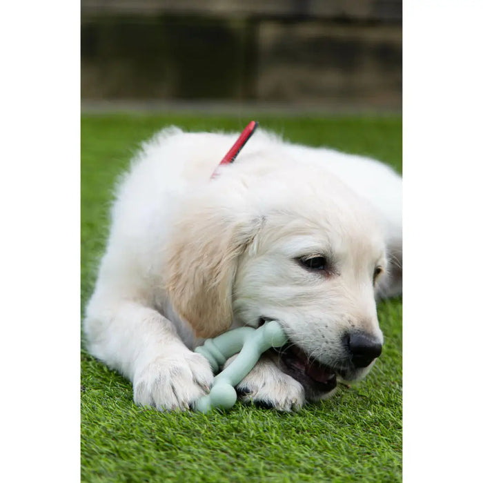 Гризалка за кучета Nylabone SENSORY TACTILE RING Зелен