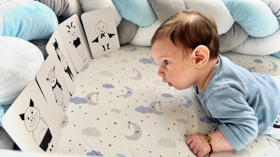 Стимулиращи карти за бебе HappyBebe - Домашни животни