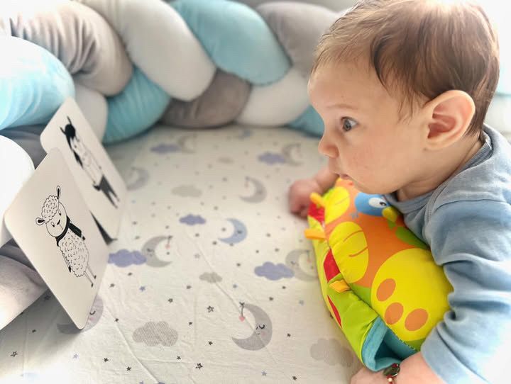 Стимулиращи карти за бебе HappyBebe - Домашни животни