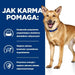 HILL’S PD Canine Digestive Care Low Fat i/d Stew - Мокра