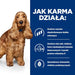 HILL’s Prescription Diet Food Sensitivites z/d - суха храна
