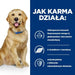 Hill’s Prescription Diet j/d Canine 12 кг