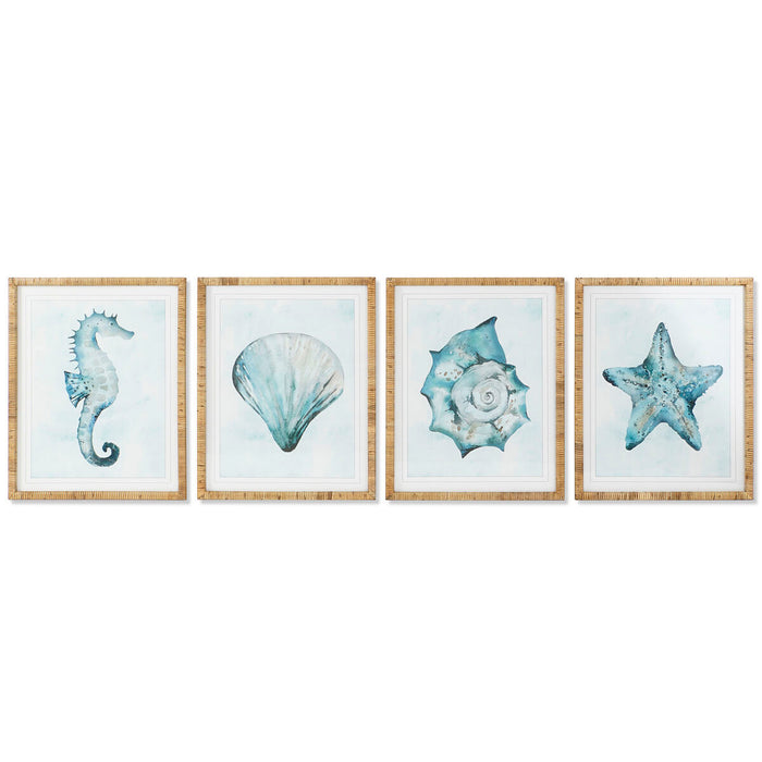 Картина Home ESPRIT Средиземноморско Раковина 55 x 2,5 x 70 cm (4 броя)