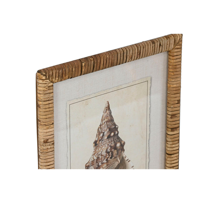 Картина Home ESPRIT Средиземноморско Раковина 30 x 2,5 x 40 cm (9 броя)