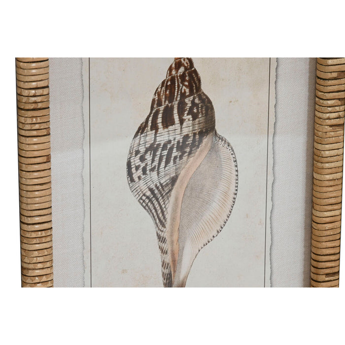 Картина Home ESPRIT Средиземноморско Раковина 30 x 2,5 x 40 cm (9 броя)