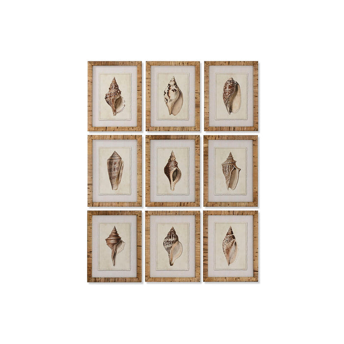 Картина Home ESPRIT Средиземноморско Раковина 30 x 2,5 x 40 cm (9 броя)