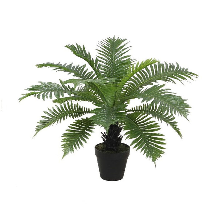 Декоративно Растение Home ESPRIT PVC орлова папрат 80 x 80 x 60 cm