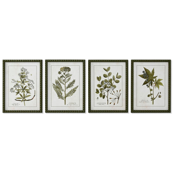 Картина Home ESPRIT Зелен Бежов Shabby Chic Ботанически растения 30 x 2,5 x 40 cm (4 броя)
