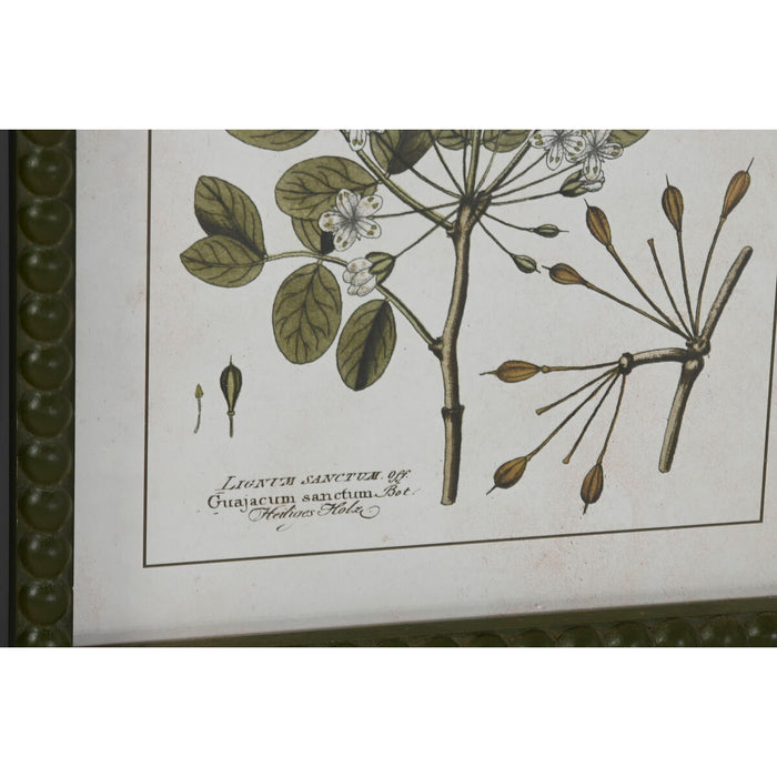 Картина Home ESPRIT Зелен Бежов Shabby Chic Ботанически растения 30 x 2,5 x 40 cm (4 броя)