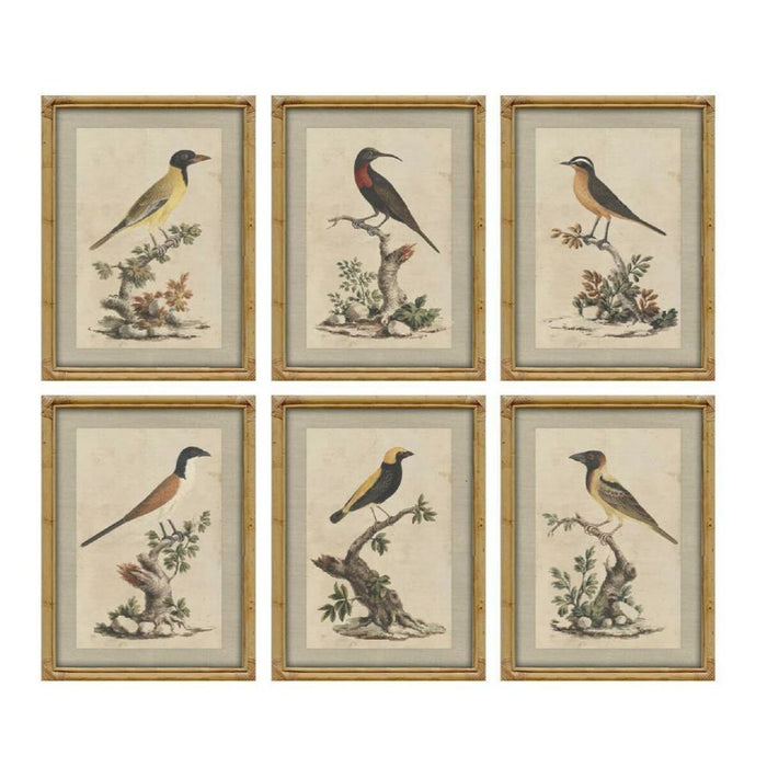 Картина Home ESPRIT Бежов Птици Shabby Chic 45 x 3 x 60 cm (6 броя)