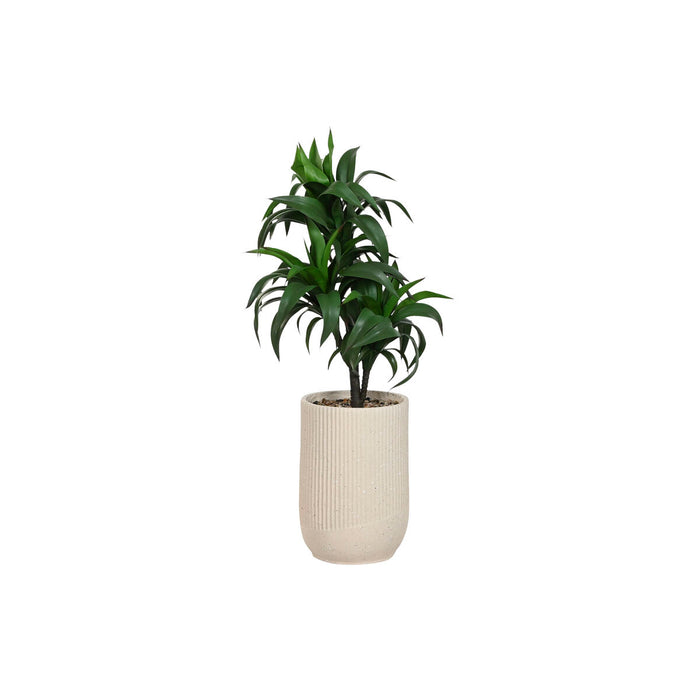Декоративно Растение Home ESPRIT Смола полиетилен 50 x 50 x 102 cm
