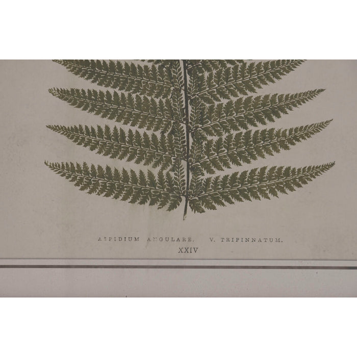 Картина Home ESPRIT Бамбук Кристал 40 x 2,5 x 50 cm (9 броя)