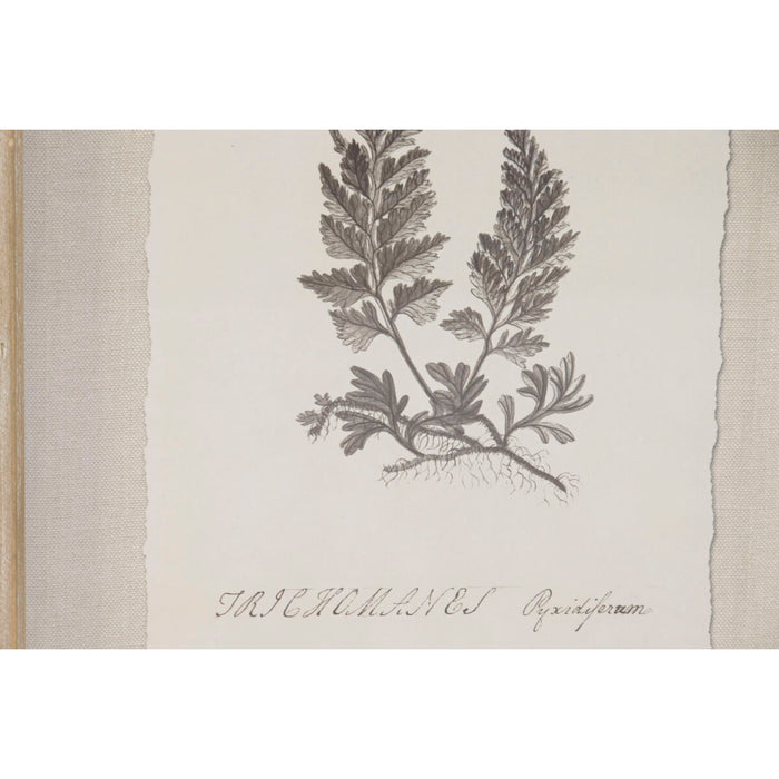 Картина Home ESPRIT Кристал Ела 30 x 2,5 x 40 cm (9 броя)