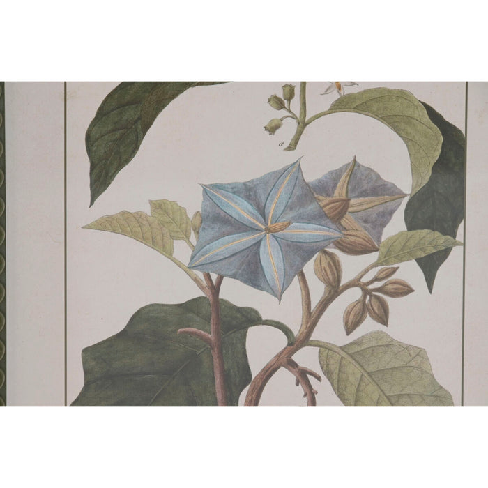 Картина Home ESPRIT Кристал Ела 30 x 2,5 x 40 cm (6 броя)