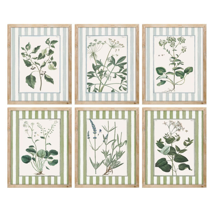 Картина Home ESPRIT Бял Зелен Shabby Chic Ботанически растения 30 x 2,5 x 40 cm (6 броя)