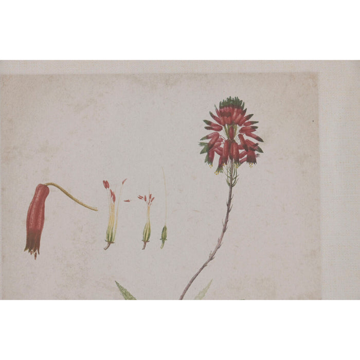 Картина Home ESPRIT Кристал Ела 30 x 2 x 40 cm (6 броя)