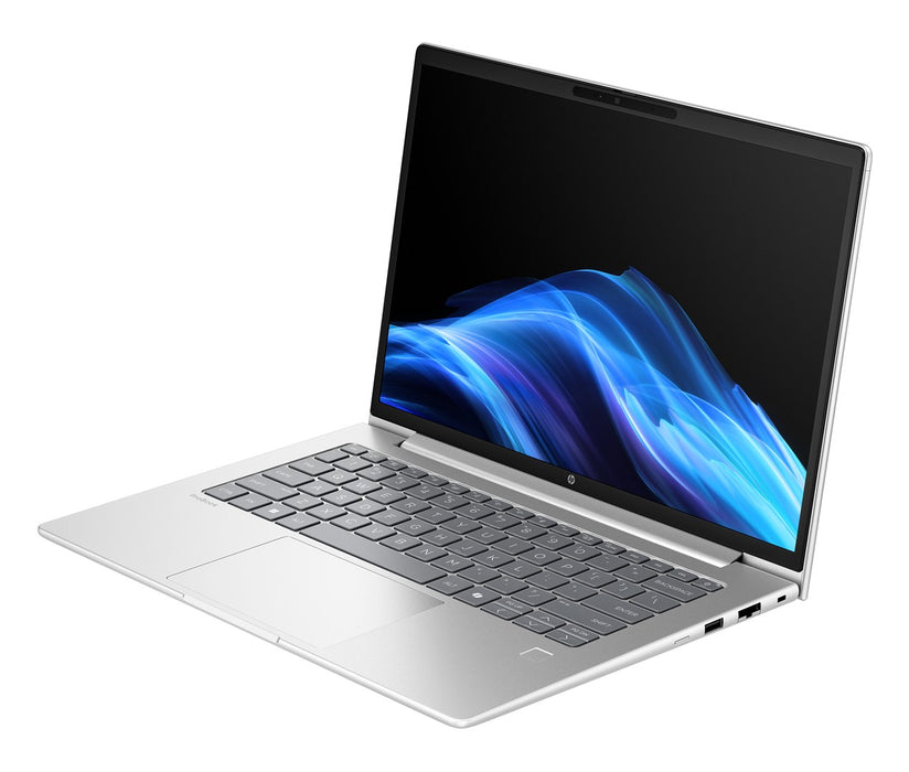 HP ProBook 4 G1A Ryzen 7 250 AI 14" WUXGA 300nits AG 16GB DDR5 5600 SSD512 Radeon 780M Cam1080p 56Wh W11Pro Pike silver 3Y OnSite