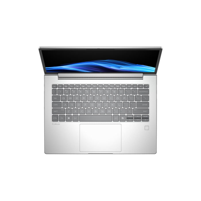 HP ProBook 4 G1A Ryzen 7 250 AI 14" WUXGA 300nits AG 16GB DDR5 5600 SSD512 Radeon 780M Cam1080p 56Wh W11Pro Pike silver 3Y OnSite