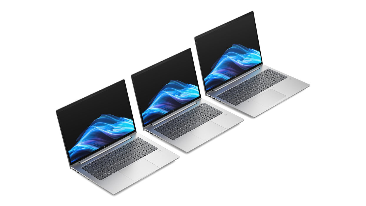 HP ProBook 4 G1A Ryzen 7 250 AI 14" WUXGA 300nits AG 16GB DDR5 5600 SSD512 Radeon 780M Cam1080p 56Wh W11Pro Pike silver 3Y OnSite