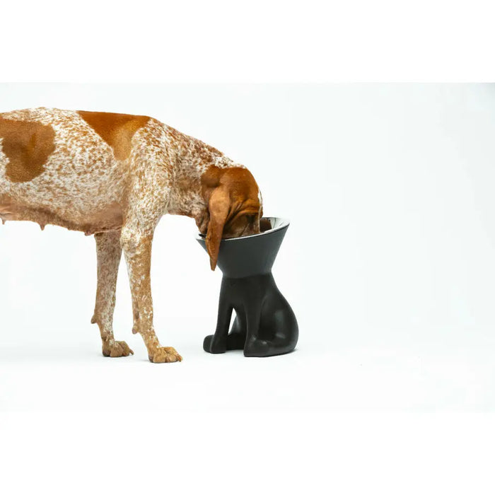 Хранилка за кучета United Pets Up Elisabeth Черен
