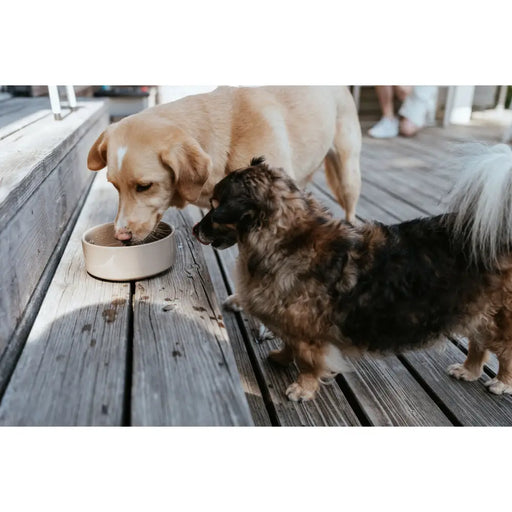 Хранилка за кучета Hunter OSBY Бежов Керамика 1,9 L