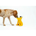 Хранилка за кучета United Pets Elisabeth Yellow Неръждаема