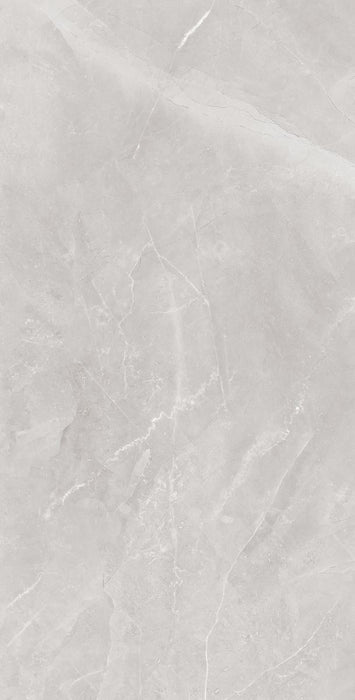 ГРАНИТОГРЕС 60X120 ELEGANT SILVER