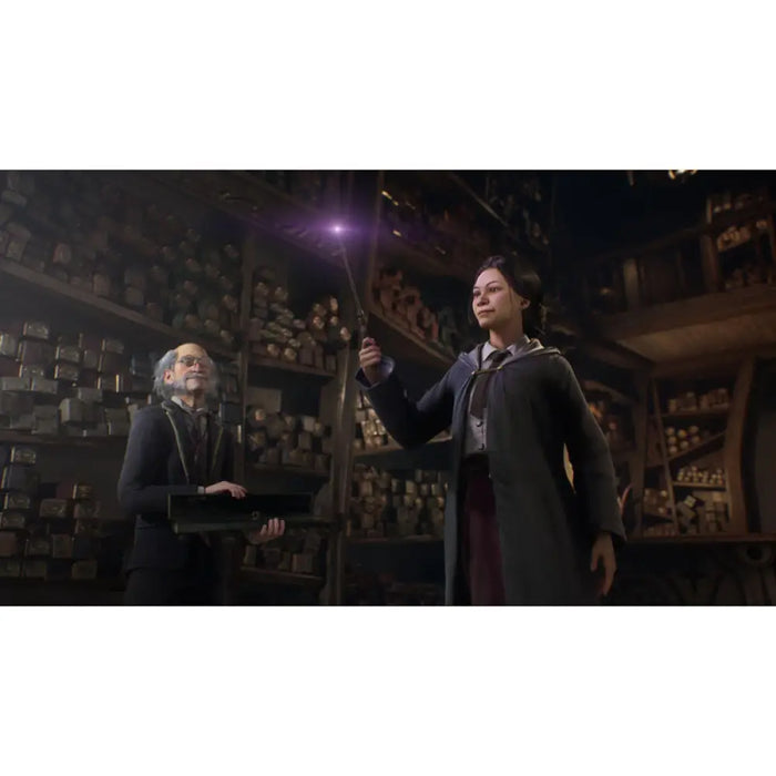 Игра Hogwarts Legacy (PS5)