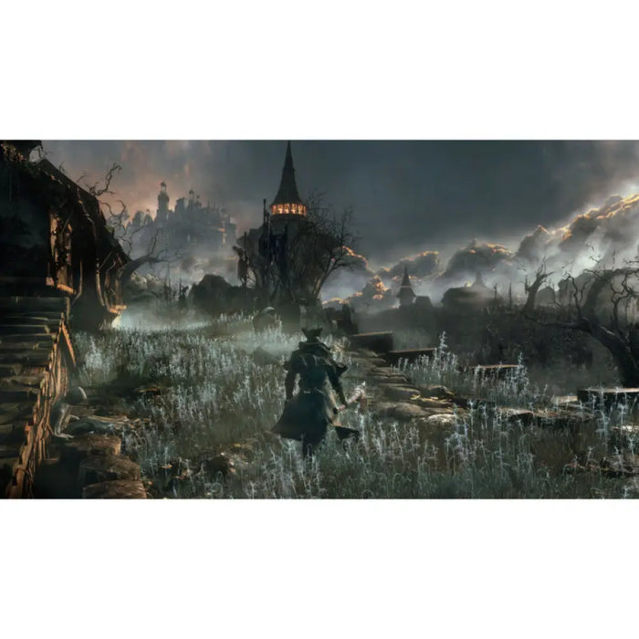 Игра Bloodborne /HITS/ (PS4)