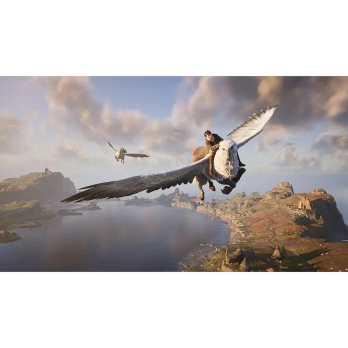 Игра Hogwarts Legacy (PS4)