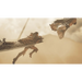 Игра Monster Hunter Wilds Steelbook Edition (PS5)