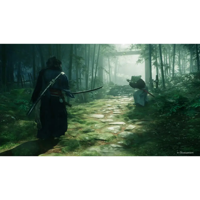 Игра Rise of the Ronin (PS5)