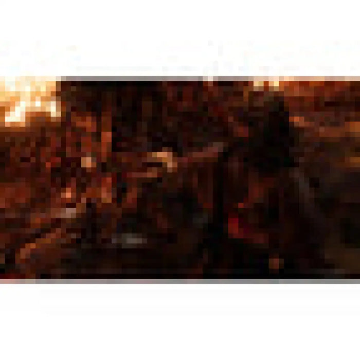 Игра RISE OF THE RONIN PS5