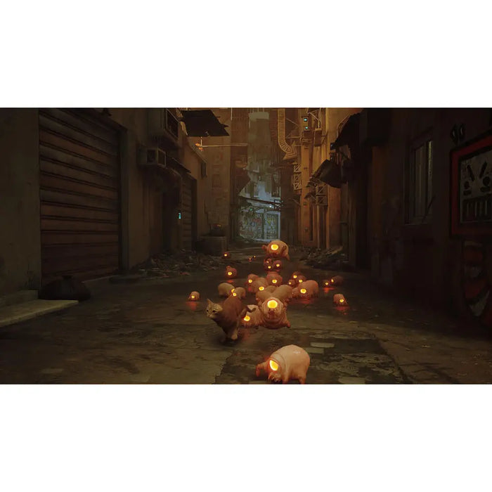 Игра Stray (NSW)