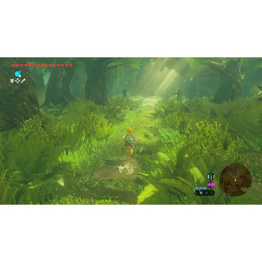 Игра The Legend of Zelda: Breath of the Wild (NSW2)