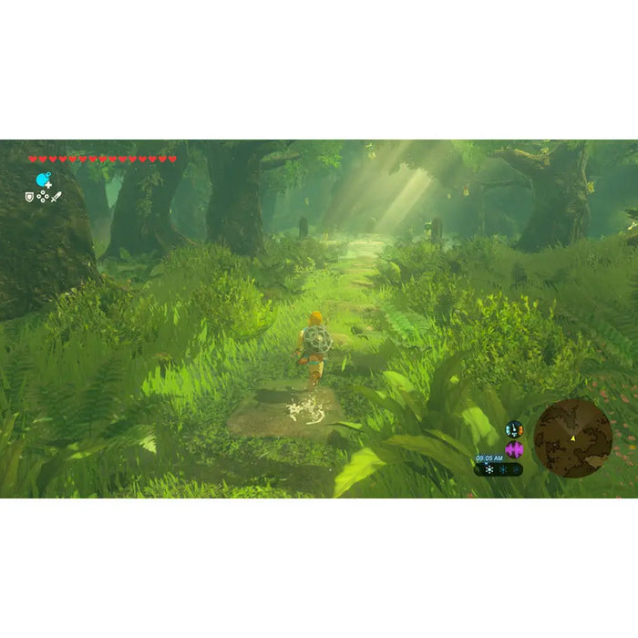 Игра The Legend of Zelda: Breath of the Wild (NSW2)