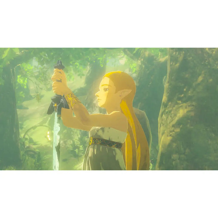 Игра The Legend of Zelda: Breath of the Wild (NSW2)