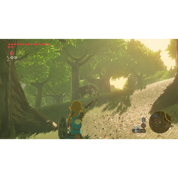 Игра The Legend of Zelda: Breath of the Wild (NSW2)