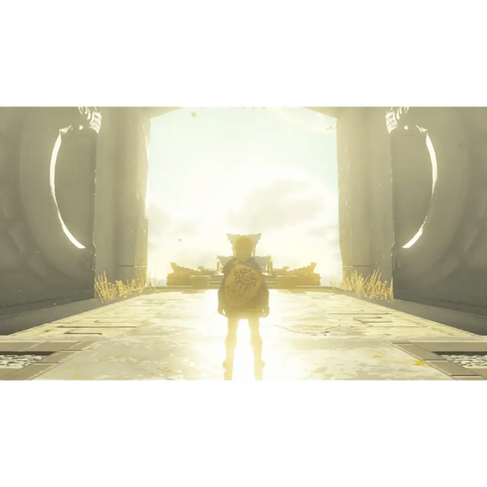 Игра The Legend of Zelda: Tears of the Kingdom (NSW)