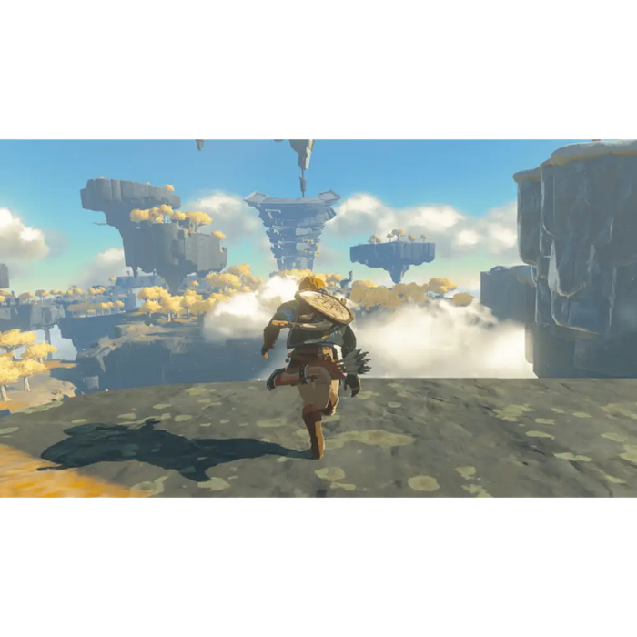 Игра The Legend of Zelda: Tears of the Kingdom (NSW)