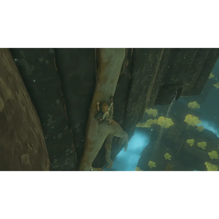 Игра The Legend of Zelda: Tears of the Kingdom (NSW)