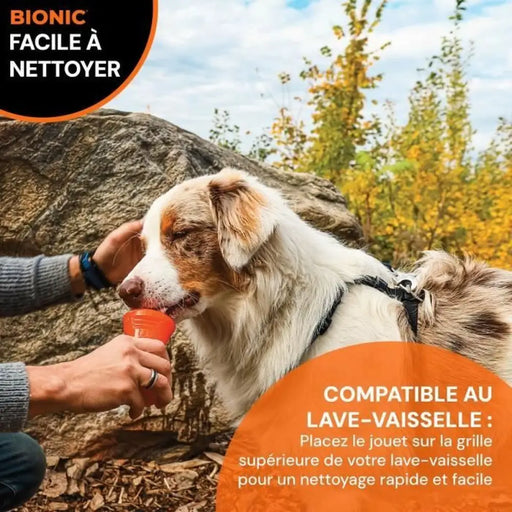 Играчка за Кучета Bionic Urban stick Оранжев 12 cm M Кост