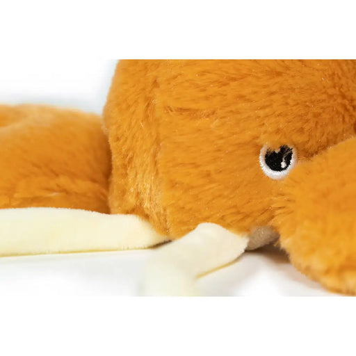 Играчка за Кучета Gloria Оранжев полипропилен