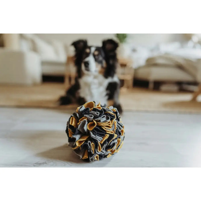 Играчка за Кучета Hunter