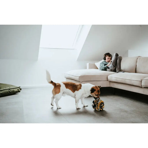 Играчка за Кучета Hunter