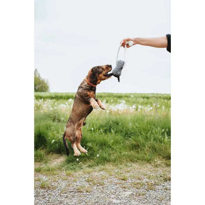 Играчка за Кучета Hunter Nebraska Кафяв Крава