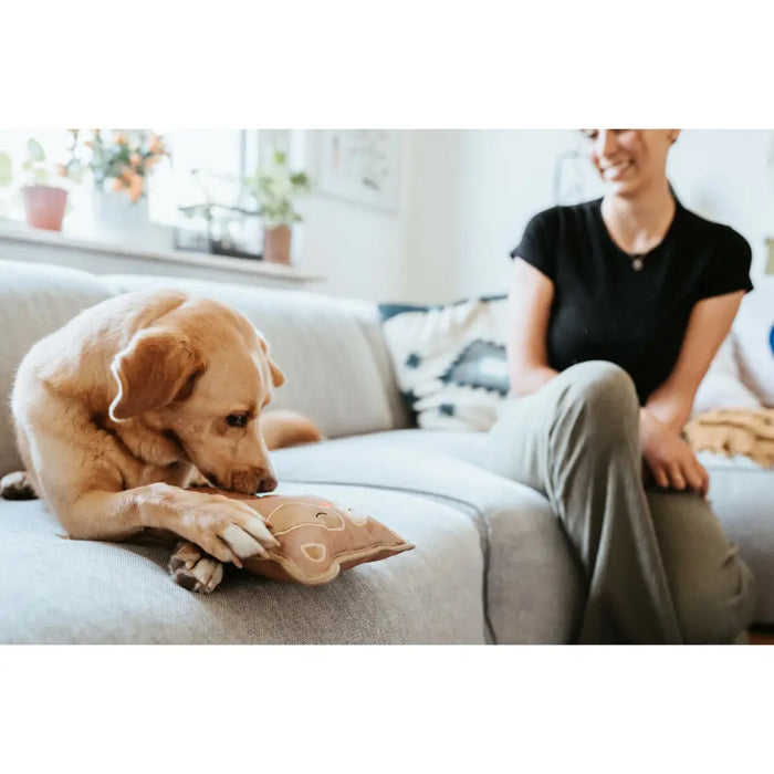 Играчка за Кучета Hunter Tough Tundra Бежов Миеща Мечка