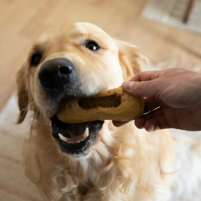 Играчка за Кучета Nylabone Кафяв Фъстъчено масло M