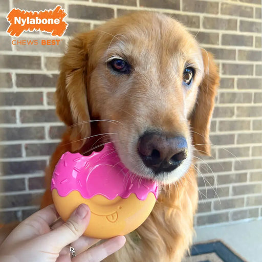 Играчка за Кучета Nylabone Розов Bacon L